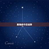 属兔的今日运势，1987年出生的，属兔，求今年运势！