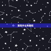鼠在什么年最旺，吱吱鼠在什么天气出现