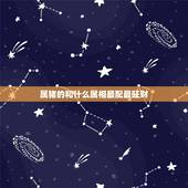 属猪的和什么属相最配最旺财，属猪的与哪些属相婚配最好