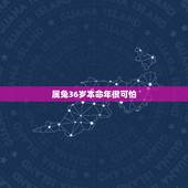 属兔36岁本命年很可怕，1987年兔人36岁