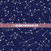 12生肖属马的命运怎么样，2002年属马的是什么命