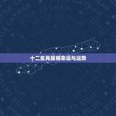 十二生肖属相命运与运势，2017十二生肖7月15-21日生肖运势