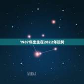 1987年出生在2022年运势，1987年男性2022年运势