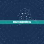 农历55年属相是什么，1984年11月27白天12点属鼠的2023年运
