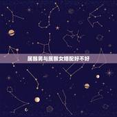 属猴男与属猴女婚配好不好 属猴和属蛇的婚姻如何