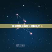 属狗的男孩与什么属相最好，属狗的人和什么属相的人最相配