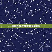 属鼠的2023年全年运势如何，2008年属鼠在2023年学业运势