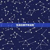 壬戌日庚子年运势，乙丑丁亥壬戌庚子