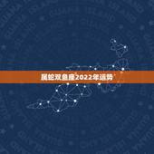 属蛇双鱼座2022年运势，属蛇的双鱼座今年所有运势怎么样