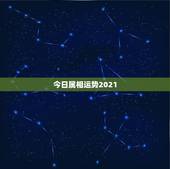 今日属相运势2021，2021年生肖运势大全