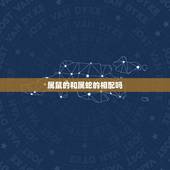 属鼠的和属蛇的相配吗，蛇鼠生肖配对合适吗
