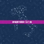 养龟要不要养一公一母，养龟是一公母好，还是一公两母好