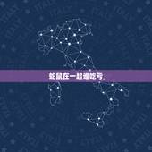 蛇鼠在一起谁吃亏，蛇男鼠女婚配会相克吗