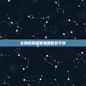 女狗和男猴属相婚配好不好，男属猴女属马相配吗 详细