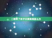二婚有了孩子又要离婚怎么办，女方二婚带一孩子，结婚后又生一孩子，现离婚