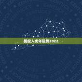 属蛇人虎年运势2022，2022到2023年属蛇运势