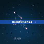 2022年有状元运的星座，2022年富婆的星座女