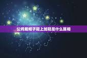 公鸡戴帽子冠上加冠是什么属相，鸡戴帽子——冠上加冠怎么理解