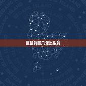 属鼠的那几年出生的，2022 鼠年出生的人的命运