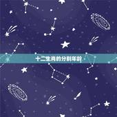 十二生肖的分别年龄，生肖岁数代表什么生肖