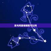 龙与鸡属相婚配可以吗，属鸡和什么属相最配 男女属鸡的属相婚配表