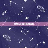 属牛人2023年的运势，属牛人2023年的运势怎样