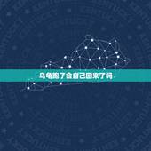 乌龟跑了会自己回来了吗，走了一 年的龟又找回来了，请问好吗？