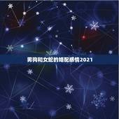 男狗和女蛇的婚配感情2021，2021猪的全年运势如何