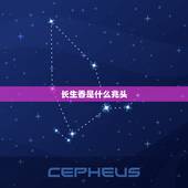 长生香是什么兆头，问大年初四给观音和财神烧香出现长生香是什么意思