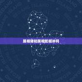 属相猪和属相蛇相冲吗，1965年属蛇的与1995年属猪的相克吗