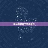 属马的和哪个生肖最合，属马的三合三冲生肖是什么