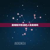 属相配对合适的人会离婚吗，生肖配对姻缘是好姻缘。最后会不会离婚