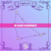 属马和属马婚姻相配吗，双马的婚姻配对好不好
