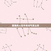 属兔的人在牛年运气怎么样，2017属牛和属兔的夫妻财运如何