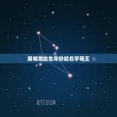属相龙出生年份起名字带王，求取名，男孩，姓王，属龙