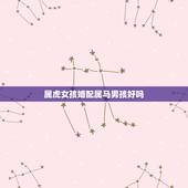 属虎女孩婚配属马男孩好吗，女孩属马男孩属虎两个结婚好吗