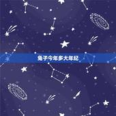 兔子今年多大年纪，拜登多大年纪今年