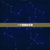 一个翅膀的手表，有一个手表牌子像翅膀