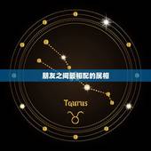 朋友之间最相配的属相，属虎的和什么属相最配