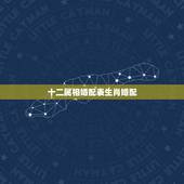 十二属相婚配表生肖婚配，十二生肖婚配表大全