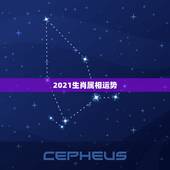 2021生肖属相运势，2021年12生肖每月运势详解