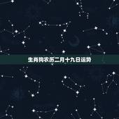 生肖狗农历二月十九日运势，1982年农历2月19的幸运数字