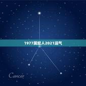 1977属蛇人2021运气，77年属蛇45岁运势2021年运势