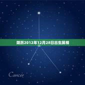阴历2012年12月28日出生属相，我是农历12月28号出生的，应该属