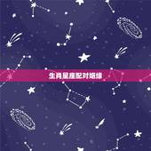 生肖星座配对姻缘，生肖和星座的婚姻指数表