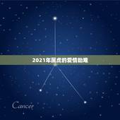 2021年属虎的爱情劫难，66年的男马和七四年的女虎在2021年里婚姻