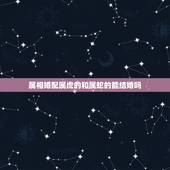 属相婚配属虎的和属蛇的能结婚吗，属相蛇和虎哪个厉害