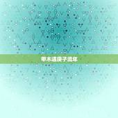 甲木遇庚子流年，2022 庚子流年丁火人运程