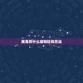 属兔养什么植物旺桃花运，房间放什么花招桃花运