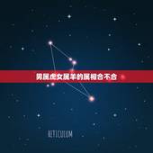 男属虎女属羊的属相合不合，虎羊八字合不合，男属虎女属羊在一起会怎么样，